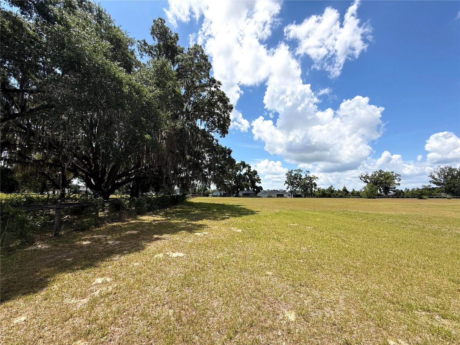 7119 SW 80TH AVE, OCALA, FL — photo 24