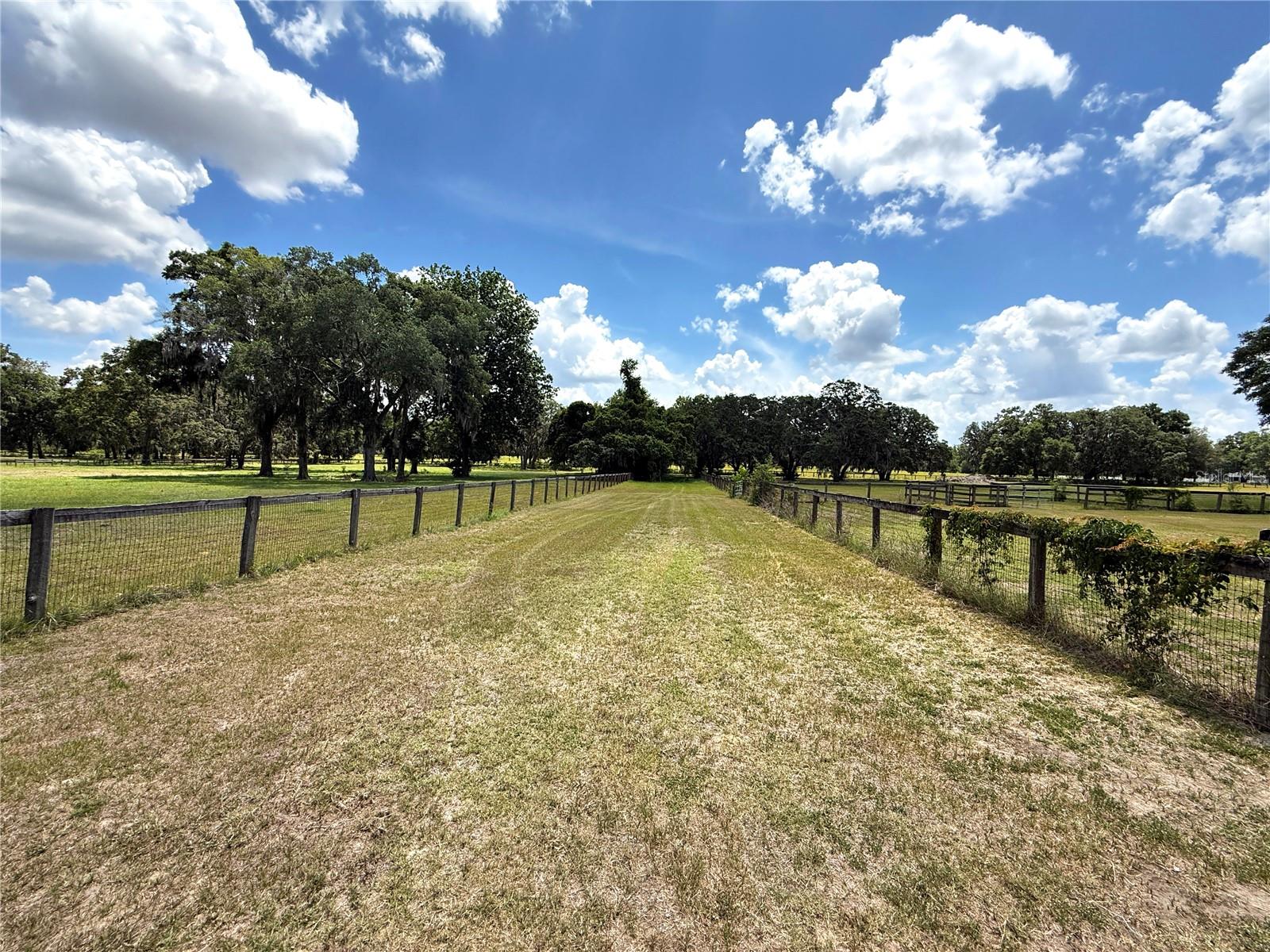 7119 SW 80TH AVE, OCALA, FL — photo 30