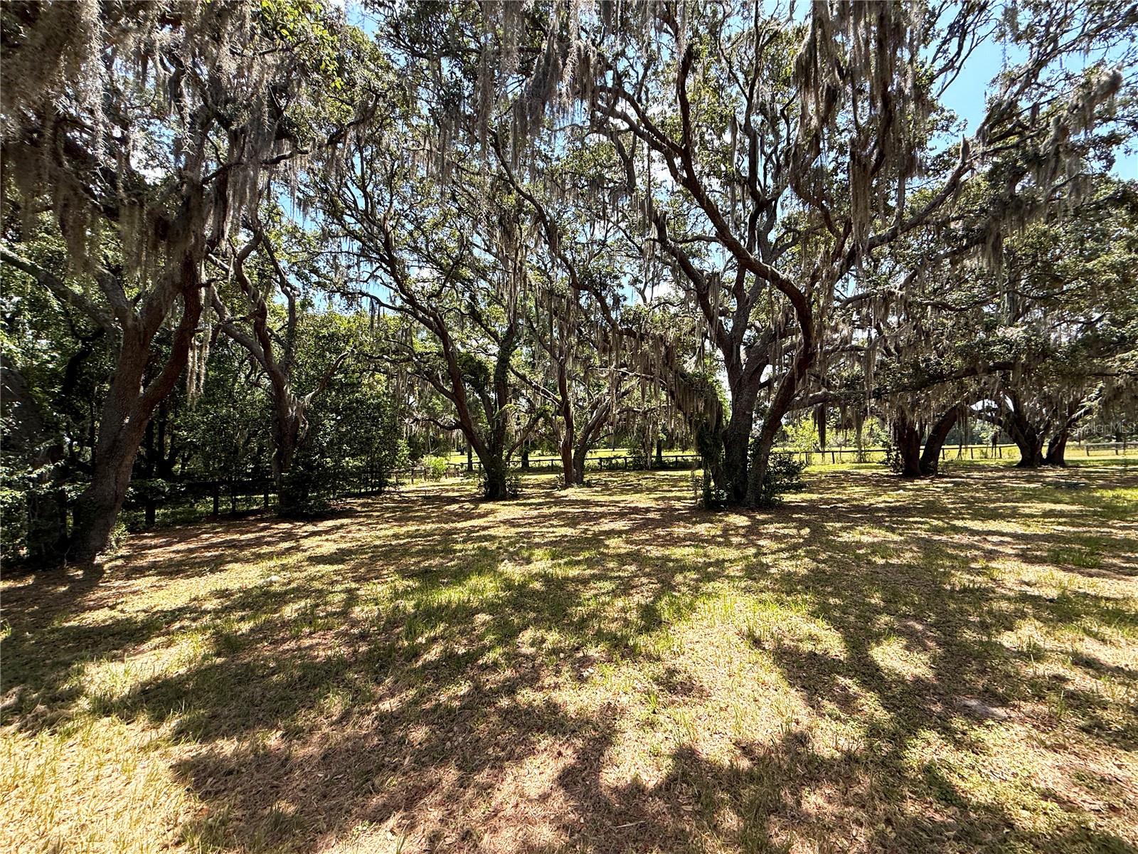 7119 SW 80TH AVE, OCALA, FL — photo 38
