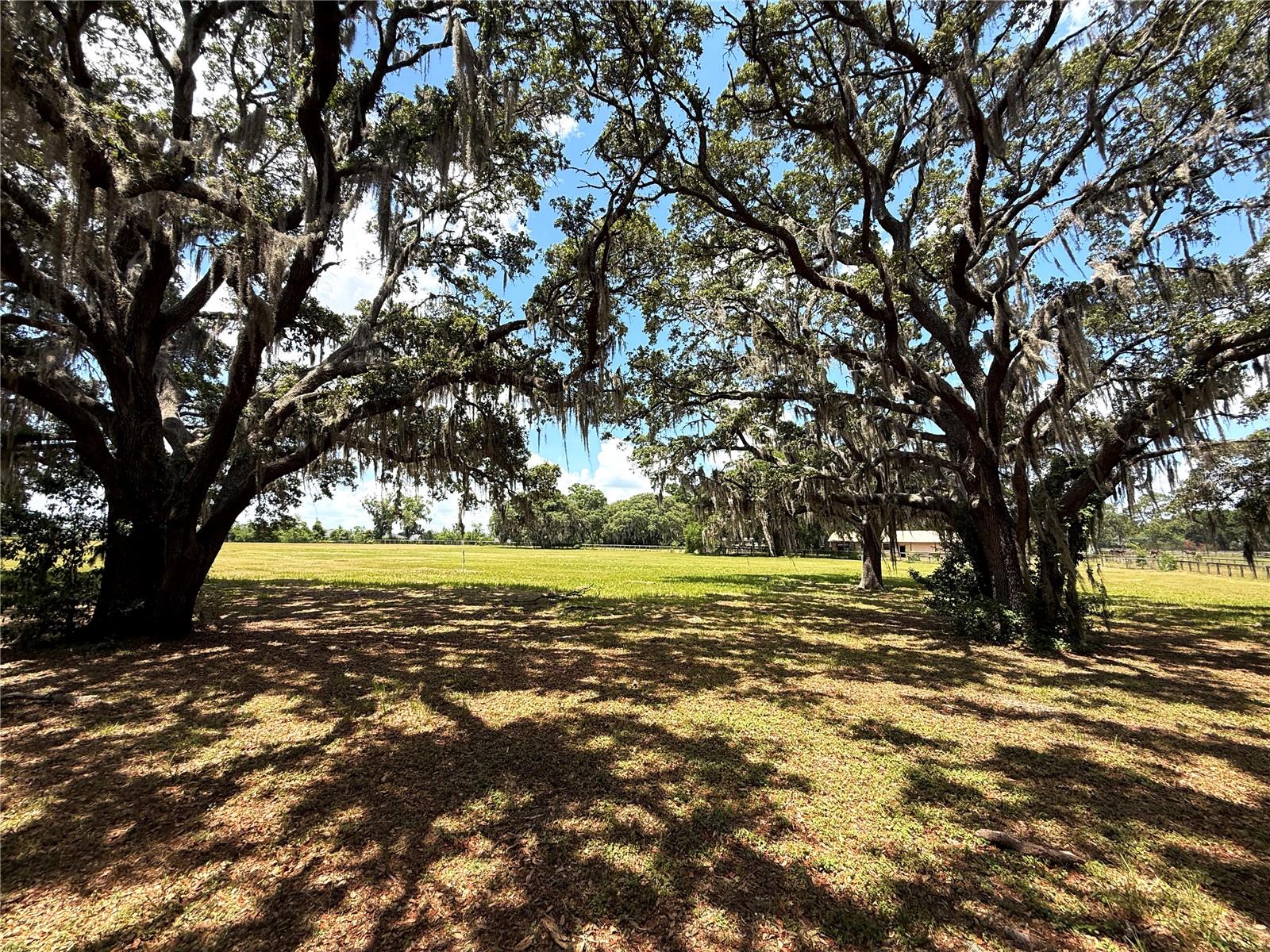 7119 SW 80TH AVE, OCALA, FL — photo 40