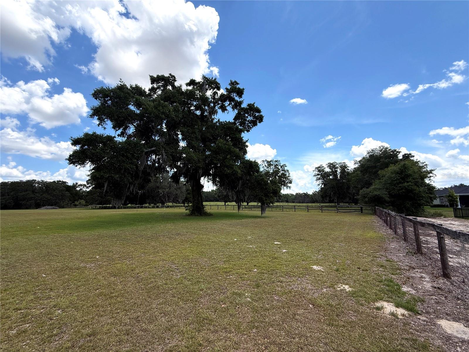 7119 SW 80TH AVE, OCALA, FL — photo 51