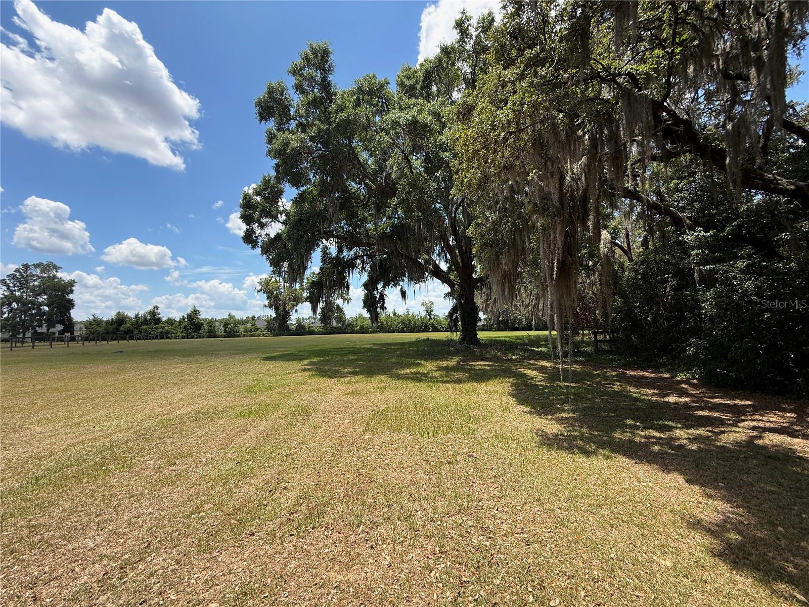 7119 SW 80TH AVE, OCALA, FL — photo 6