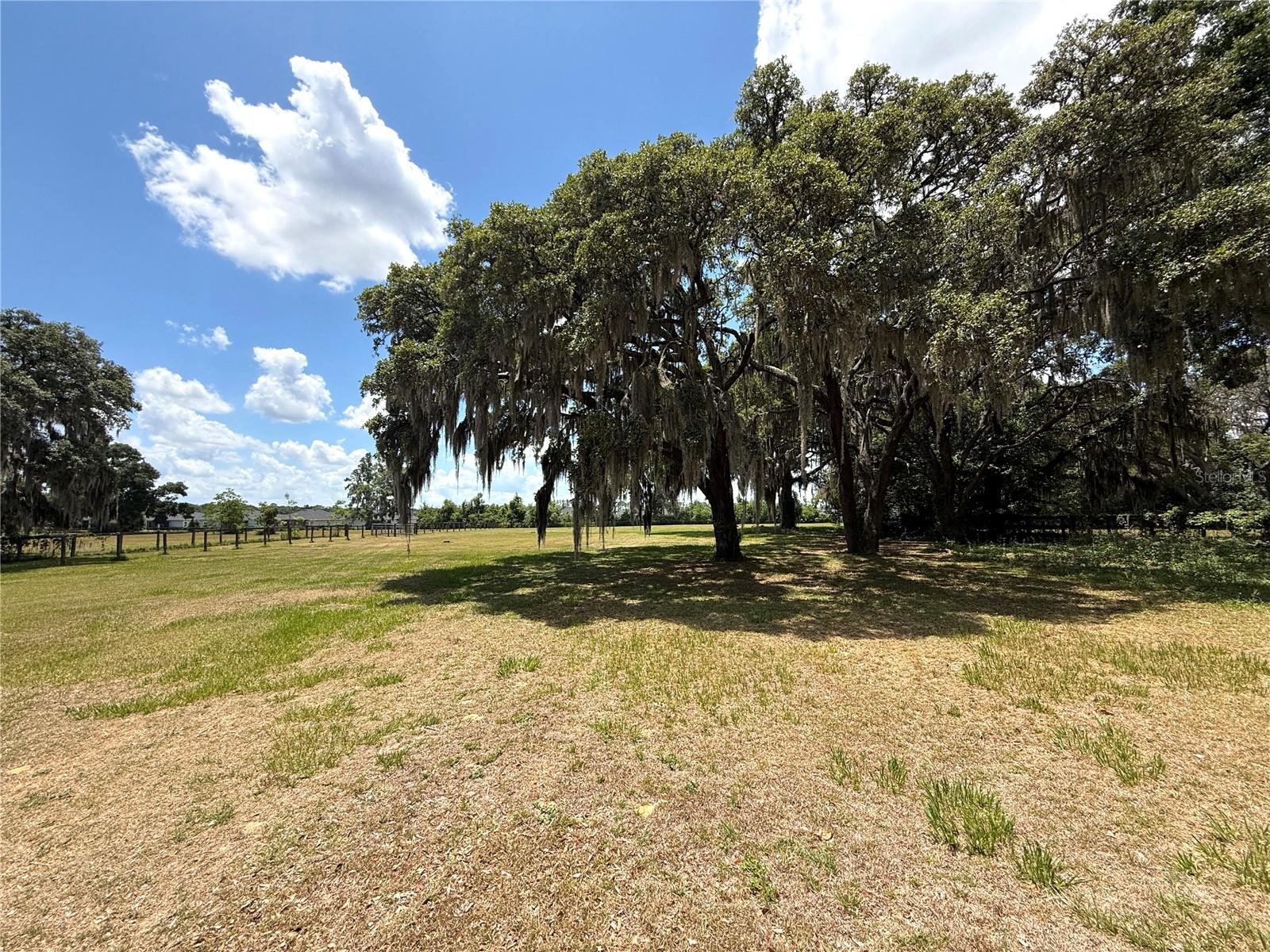 7119 SW 80TH AVE, OCALA, FL — photo 7