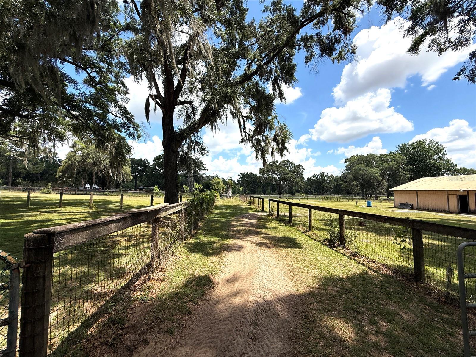 7119 SW 80TH AVE, OCALA, FL — photo 8