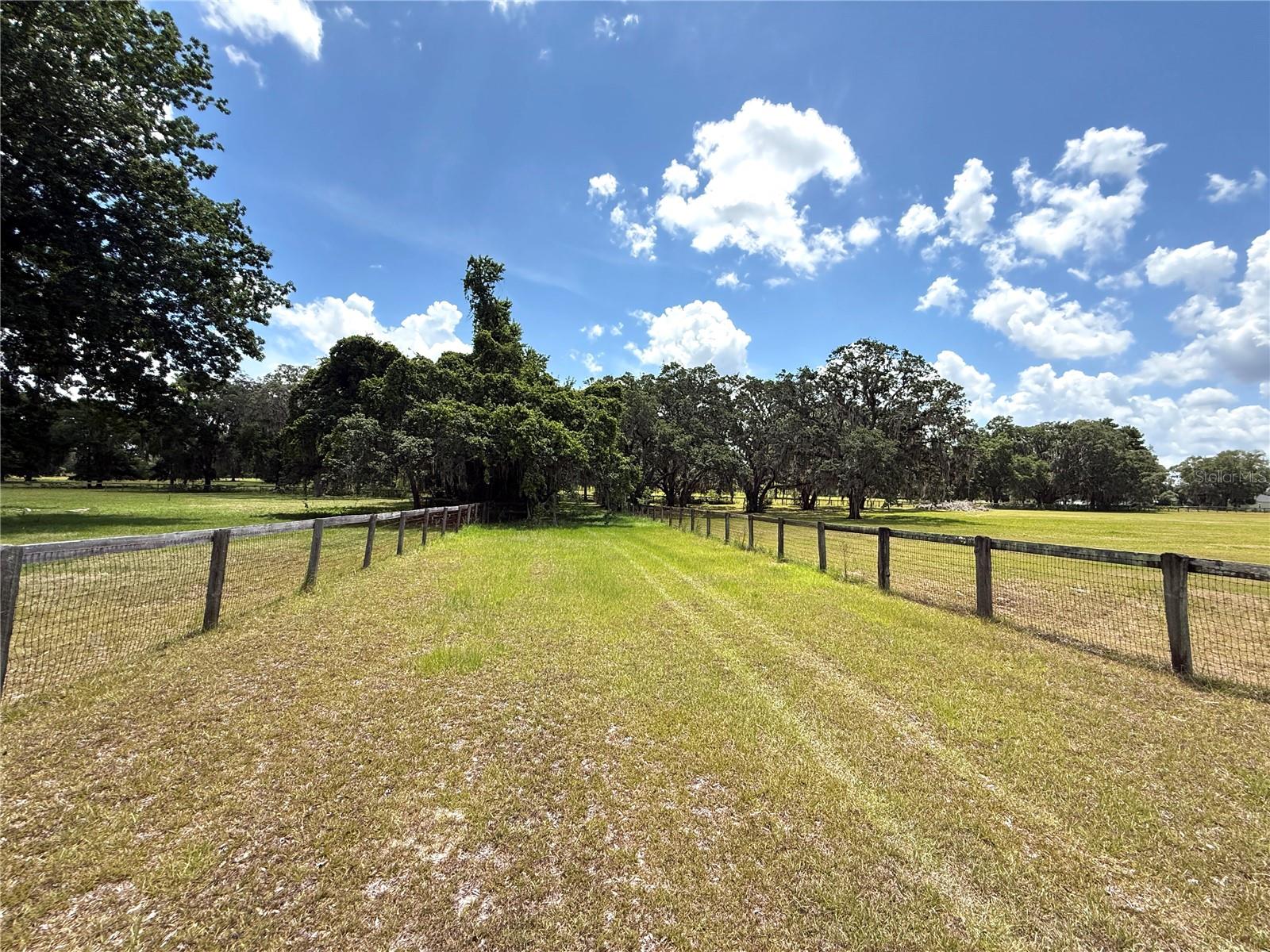 7119 SW 80TH AVE, OCALA, FL — photo 31