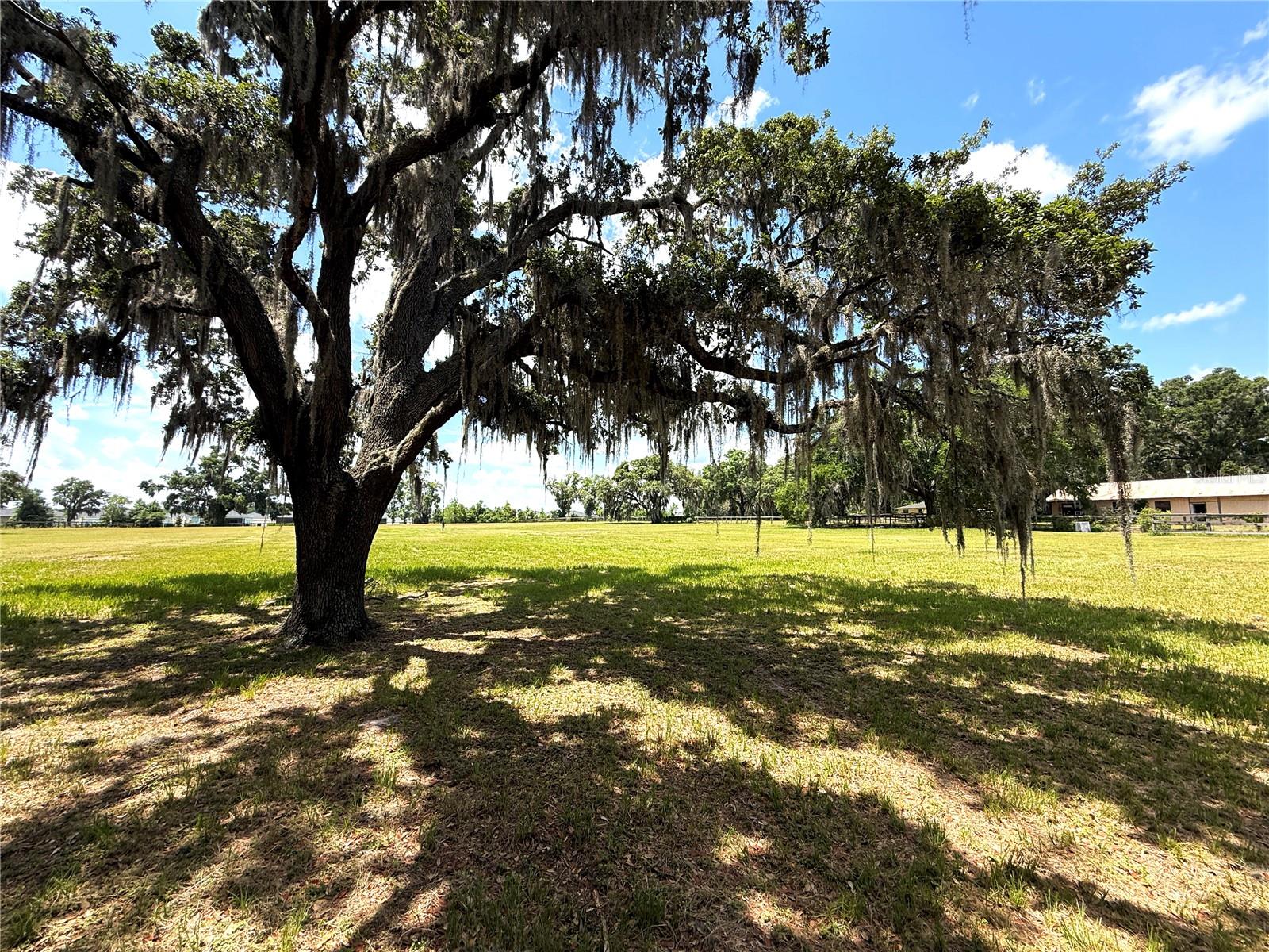 7119 SW 80TH AVE, OCALA, FL — photo 39