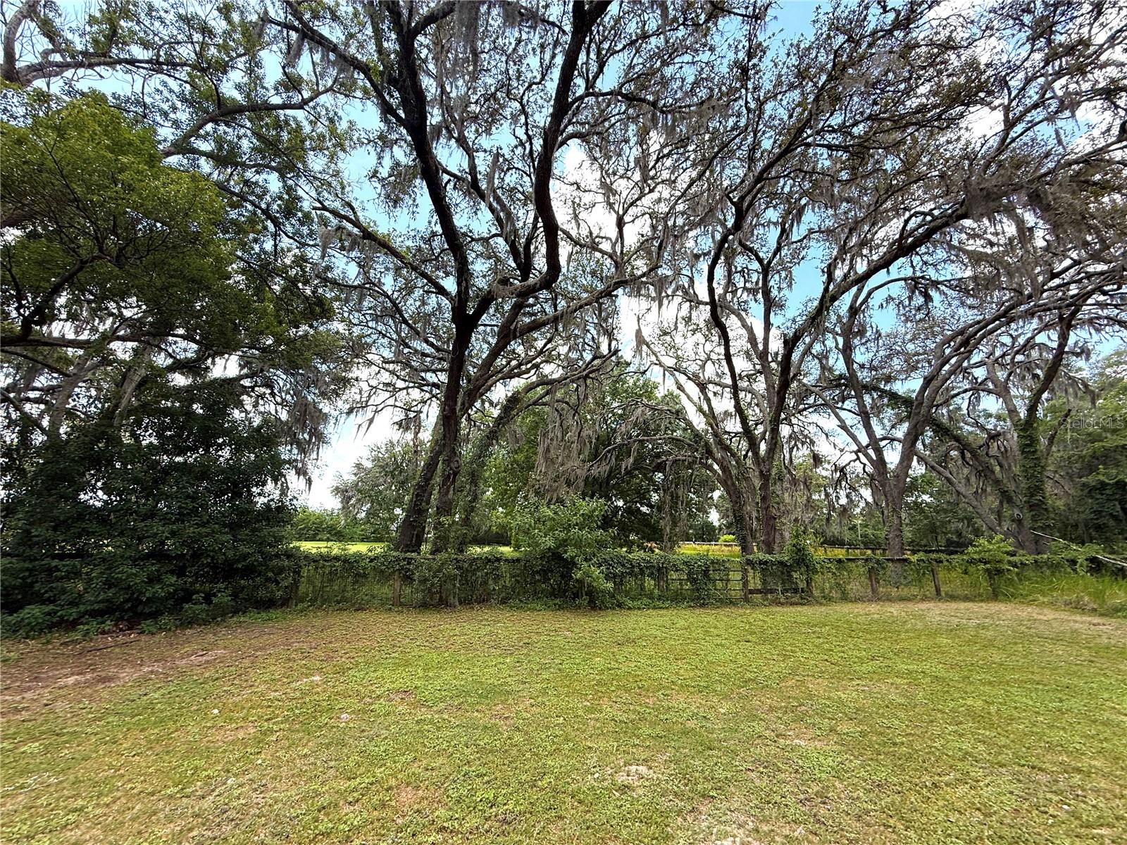 7119 SW 80TH AVE, OCALA, FL — photo 45