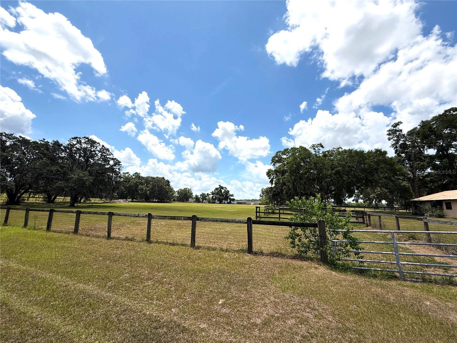 7119 SW 80TH AVE, OCALA, FL — photo 48