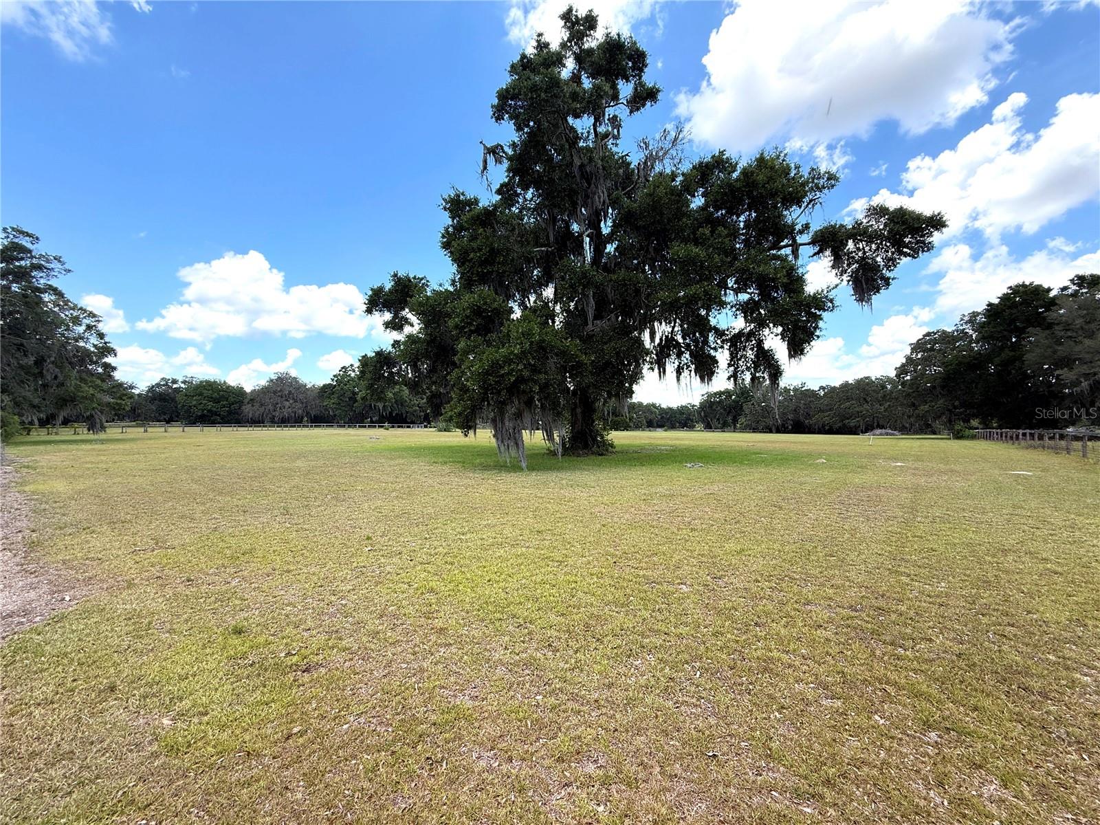 7119 SW 80TH AVE, OCALA, FL — photo 50