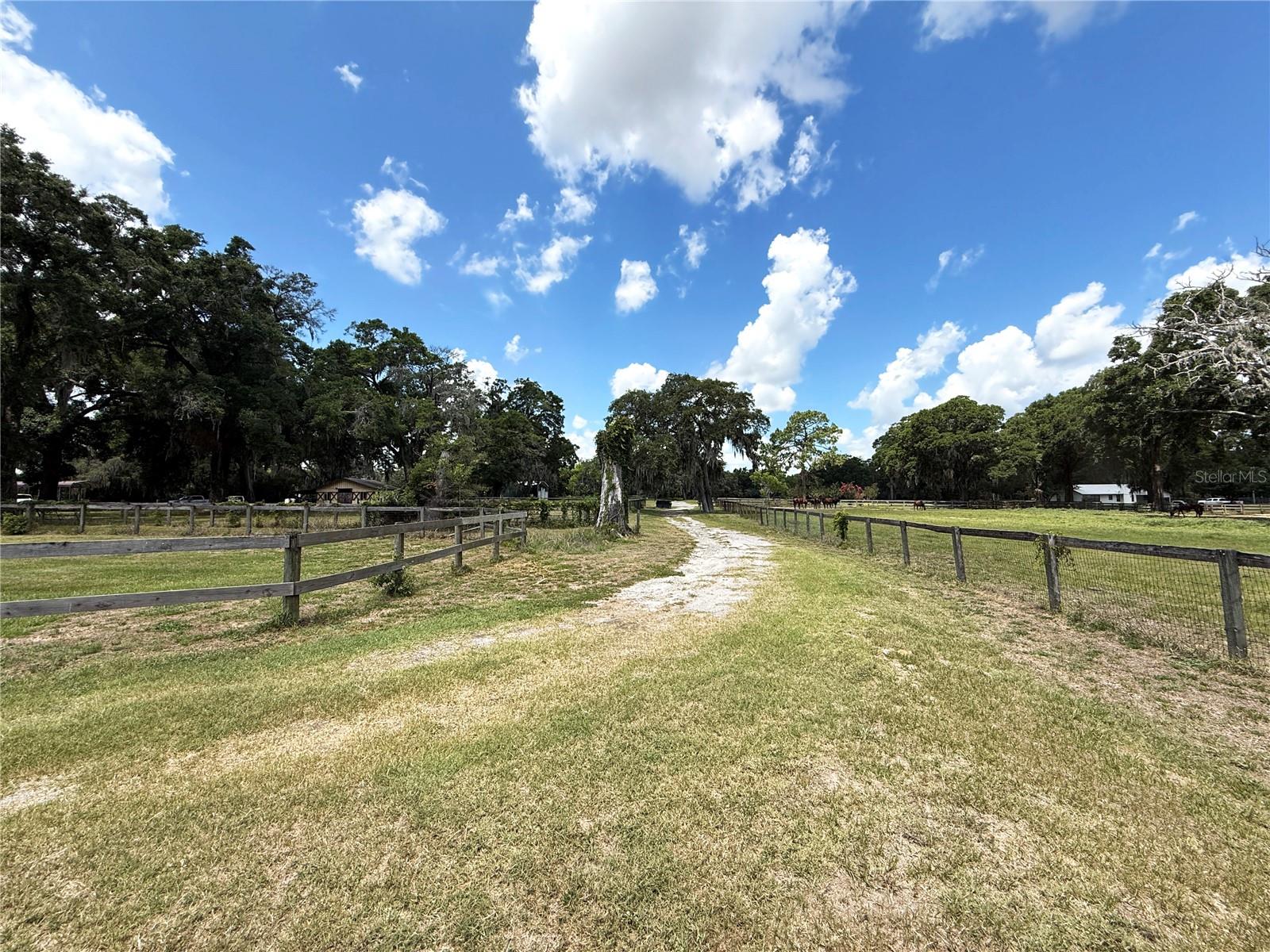 7119 SW 80TH AVE, OCALA, FL — photo 59