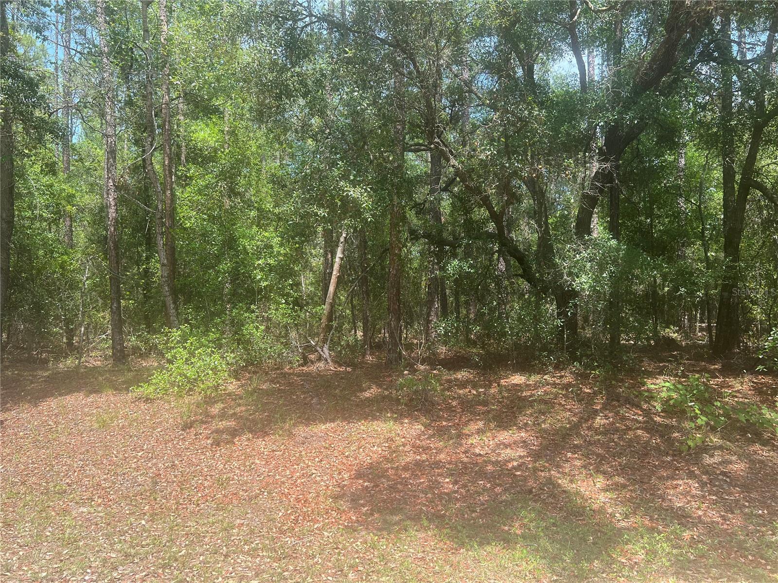 8729 N WALLINGFORD AVE, DUNNELLON, FL
