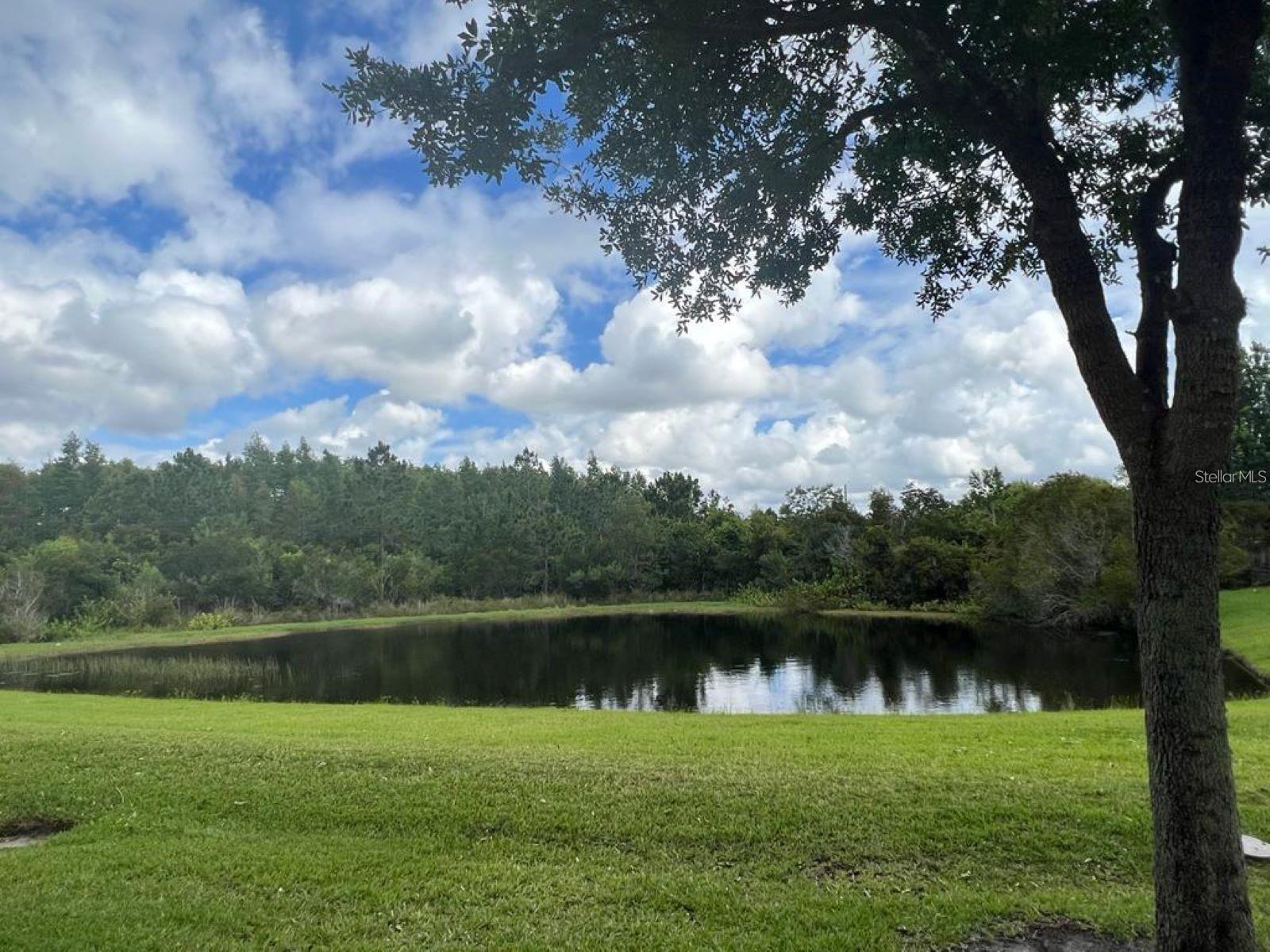 2841 ADELAIDE CT, ORLANDO, FL — photo 17