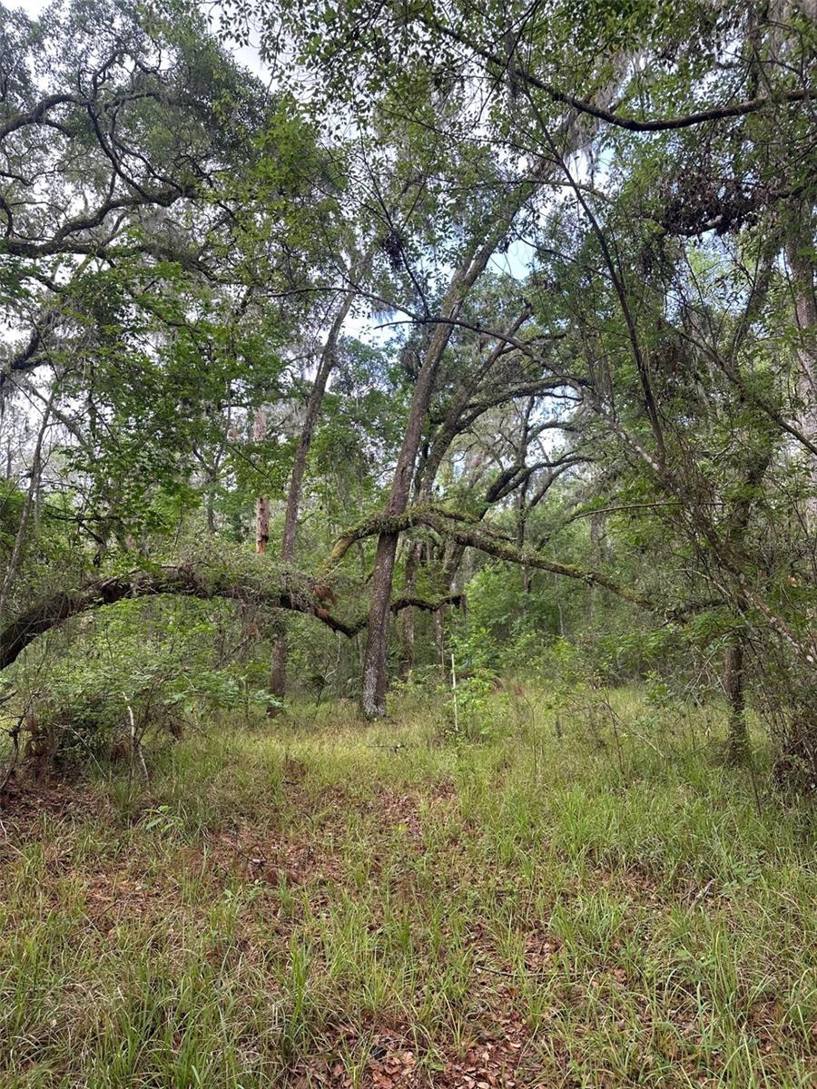 0 EMERSON RD, BROOKSVILLE, FL — photo 6