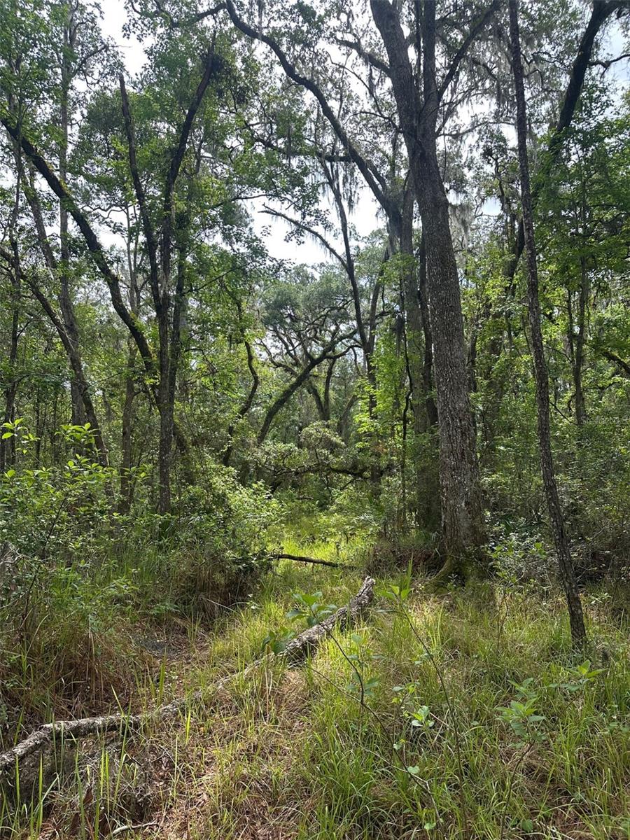 0 EMERSON RD, BROOKSVILLE, FL — photo 7