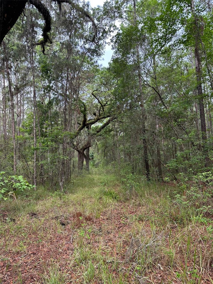 0 EMERSON RD, BROOKSVILLE, FL — photo 8
