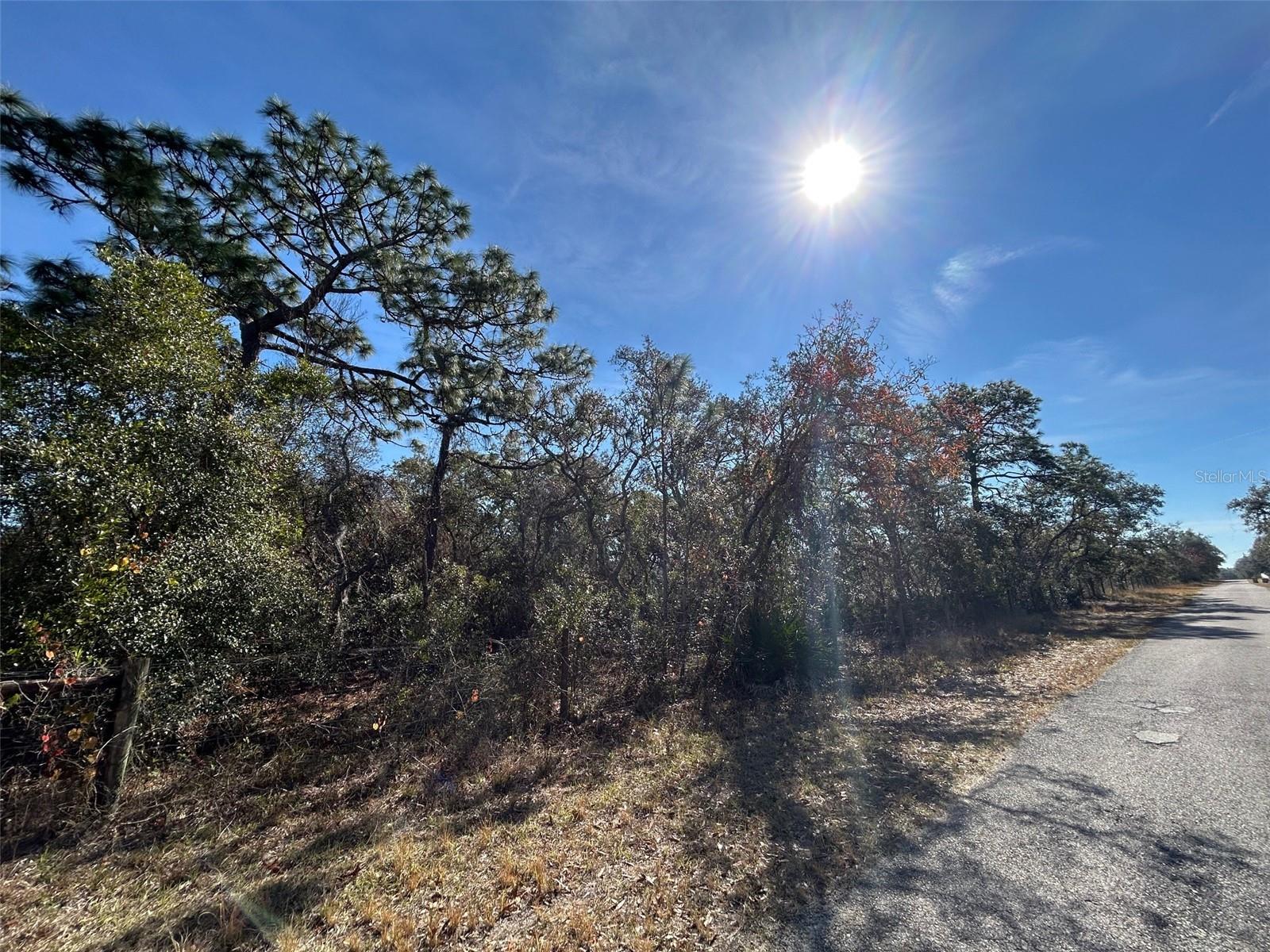 9940 BLACK BEAR LN, WINTER GARDEN, FL — photo 11