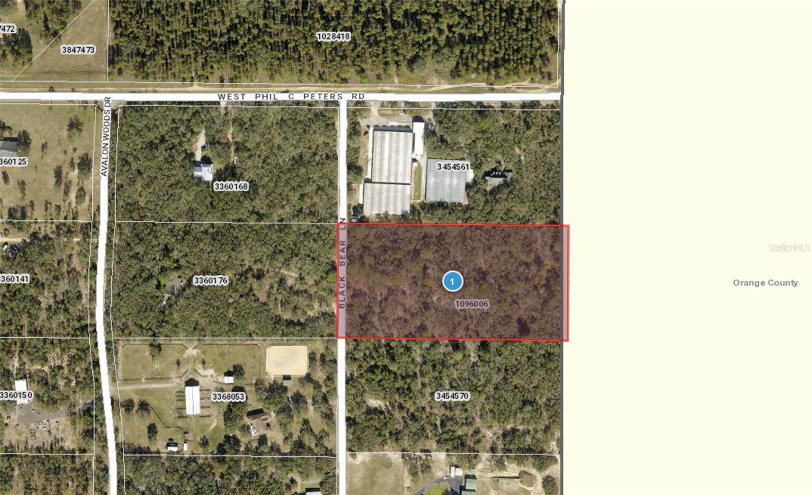 9940 BLACK BEAR LN, WINTER GARDEN, FL — photo 15