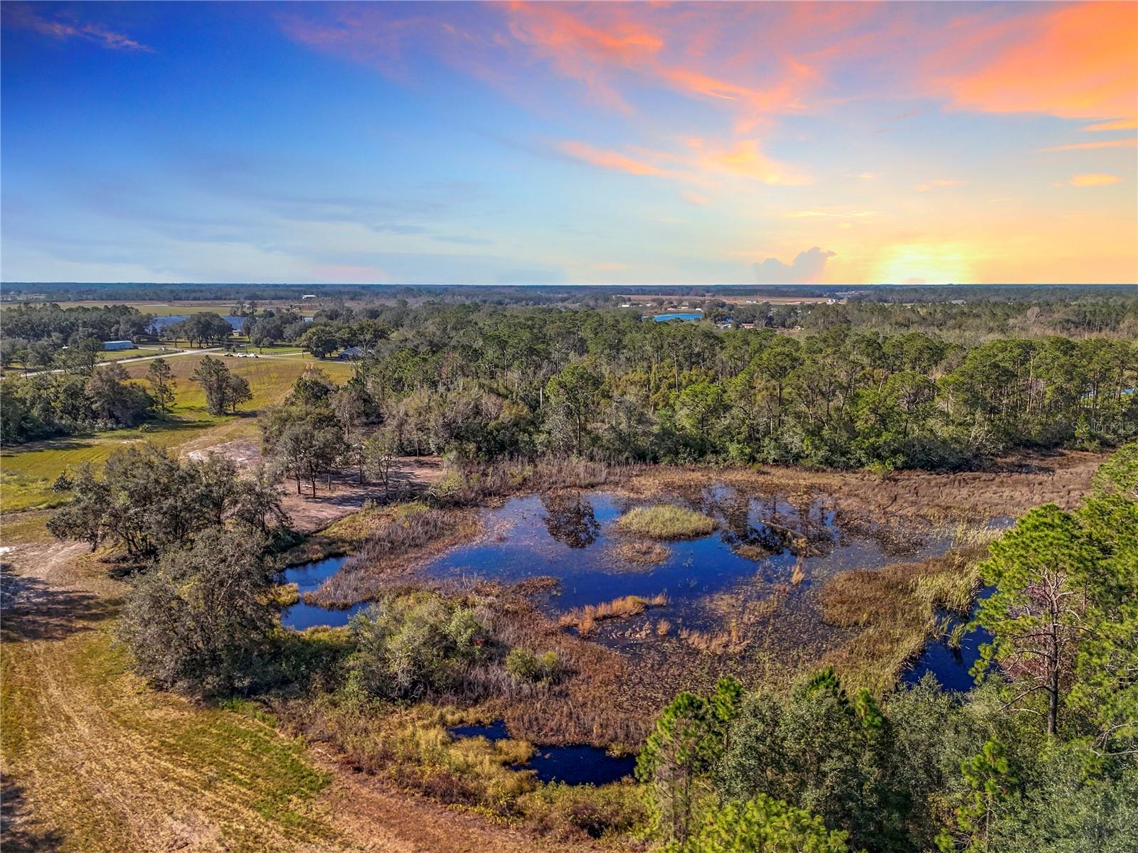 PINE ISLAND ROAD, CLERMONT, FL — photo 5