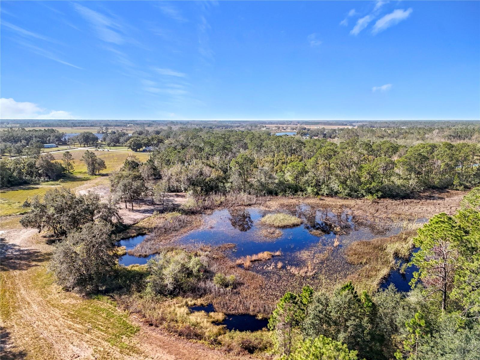 PINE ISLAND ROAD, CLERMONT, FL — photo 12