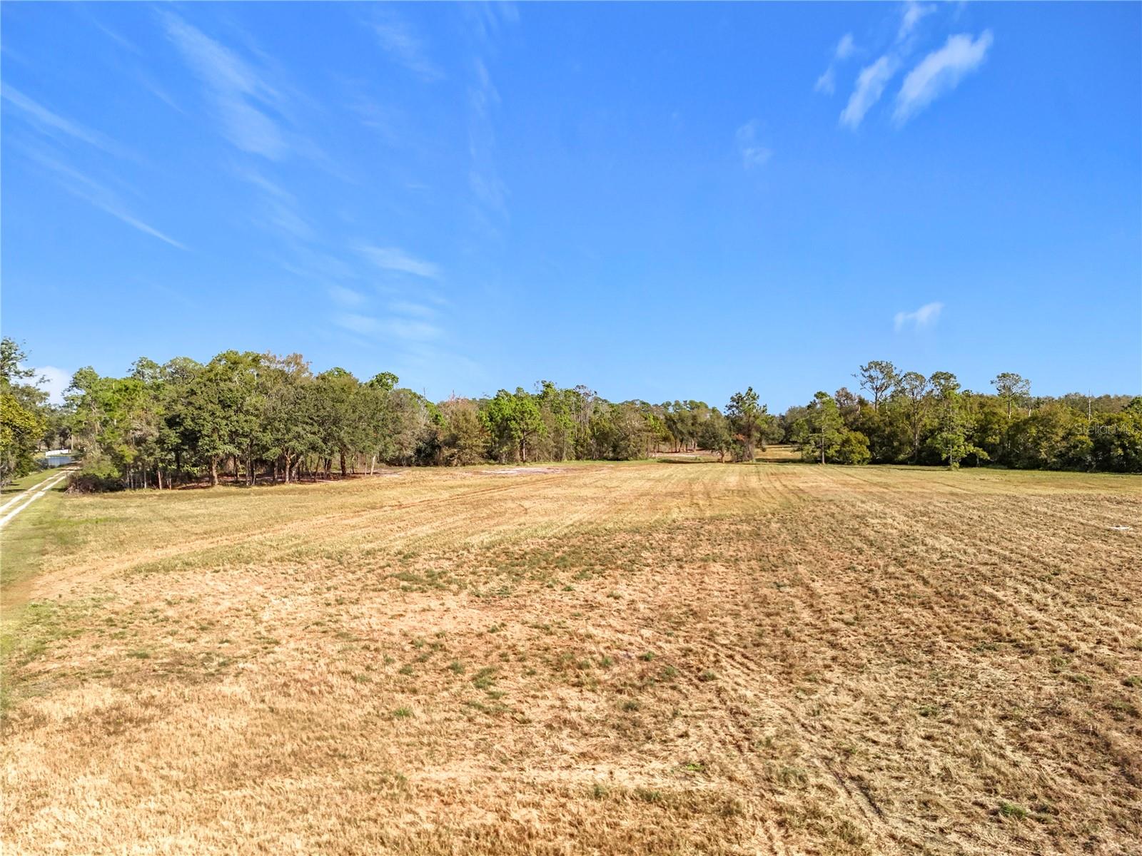 PINE ISLAND ROAD, CLERMONT, FL — photo 31