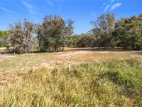 PINE ISLAND ROAD — photo 34