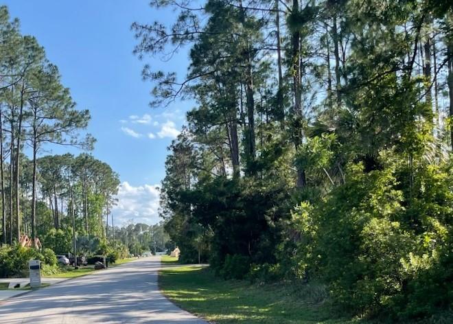 33 PONDEROSA LANE, PALM COAST, FL — photo 2