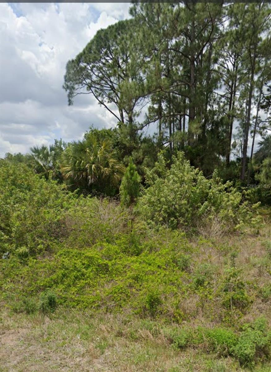 809 GERALD AVE, LEHIGH ACRES, FL — photo 2