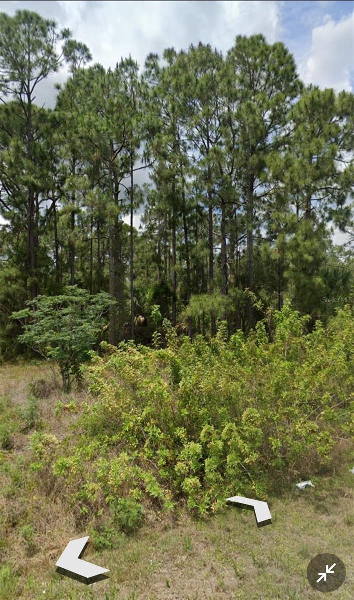 809 GERALD AVE, LEHIGH ACRES, FL — photo 3