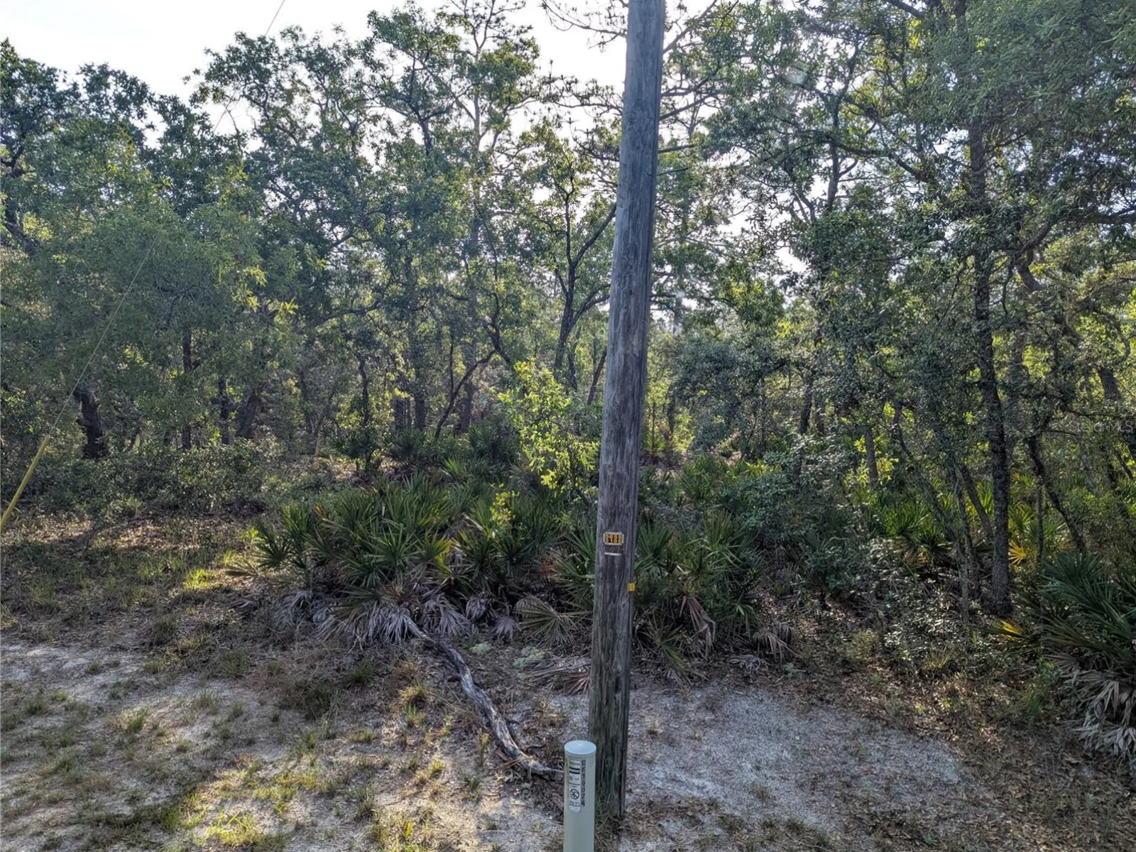 19036 RETRIEVER RD, BROOKSVILLE, FL — photo 2