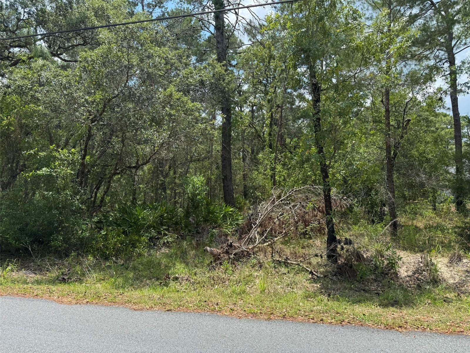 Lot 62 MICHIGAN AVE, WEEKI WACHEE, FL — photo 3