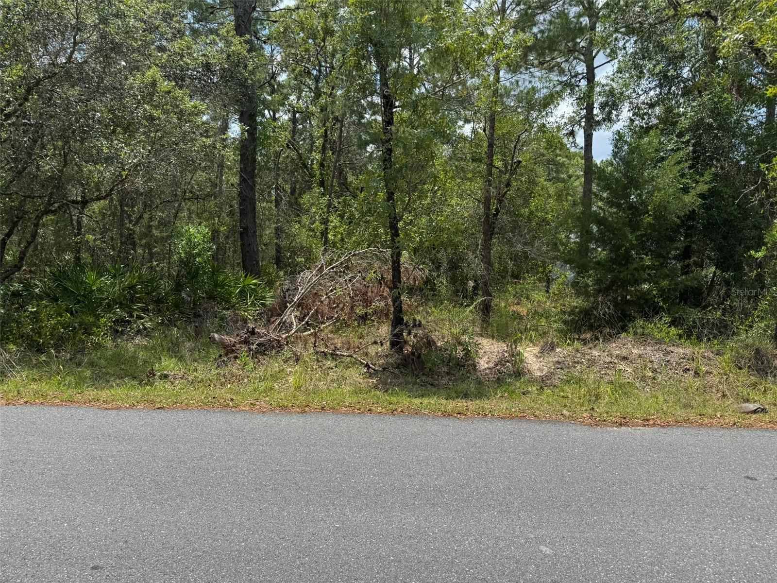Lot 62 MICHIGAN AVE, WEEKI WACHEE, FL — photo 4