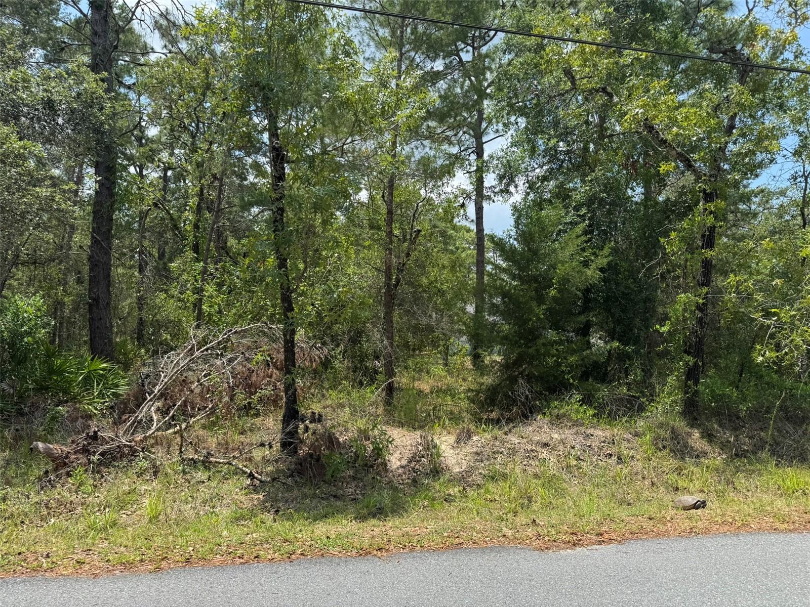 Lot 62 MICHIGAN AVE, WEEKI WACHEE, FL