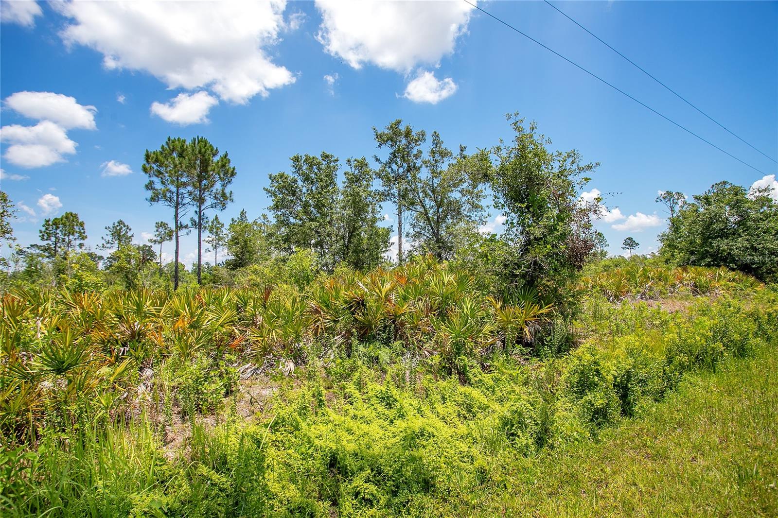 4000 GERONA AVE, SEBRING, FL — photo 4