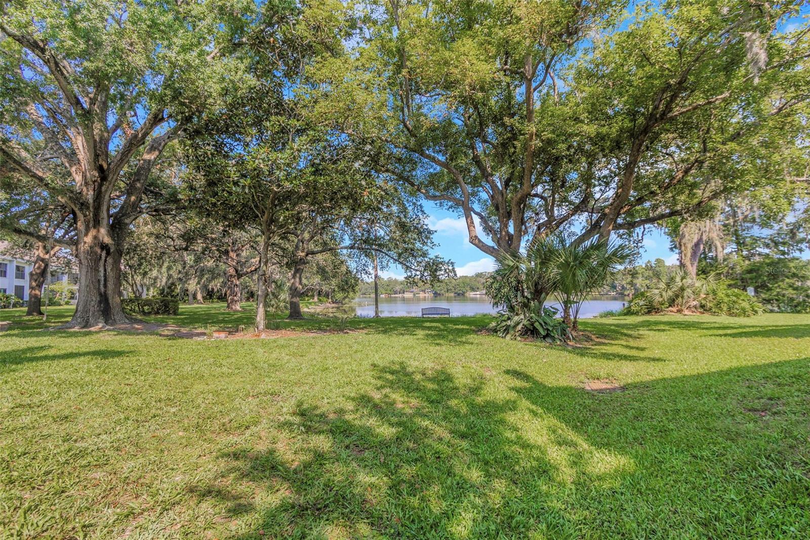 5151 PURITAN CIR #1022, TAMPA, FL — photo 44