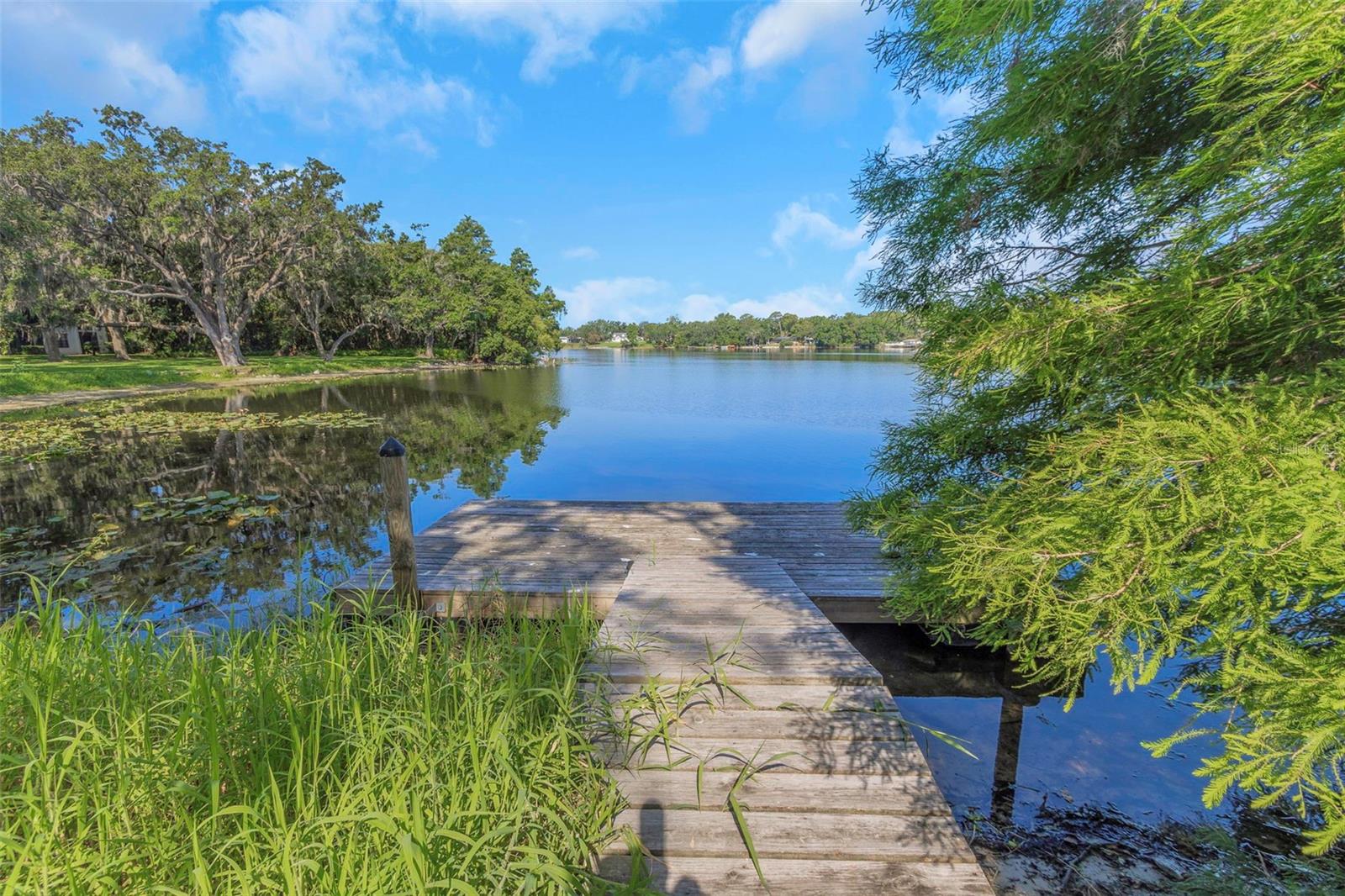 5151 PURITAN CIR #1022, TAMPA, FL — photo 48