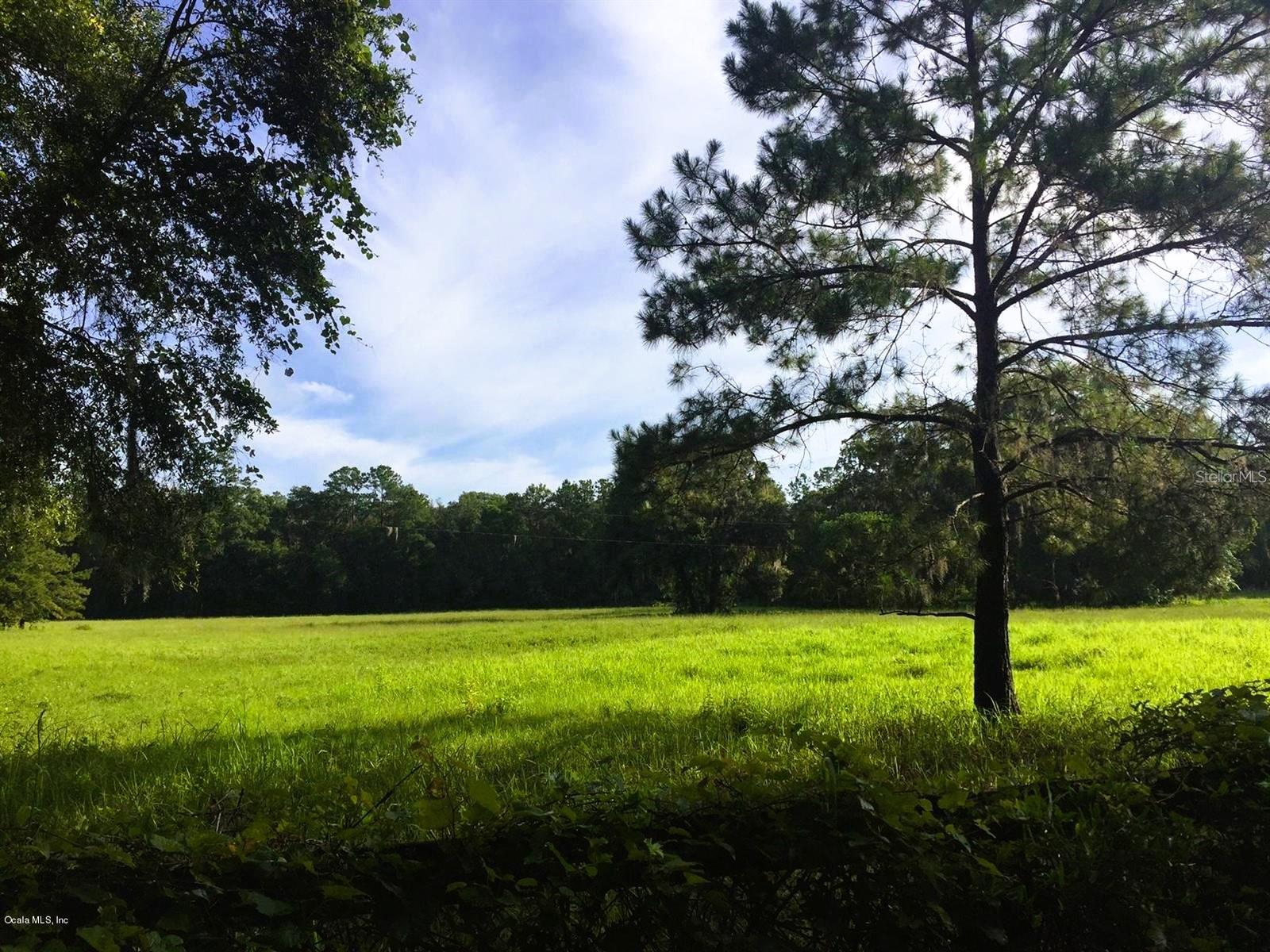 5201 W HIGHWAY 329, REDDICK, FL — photo 2