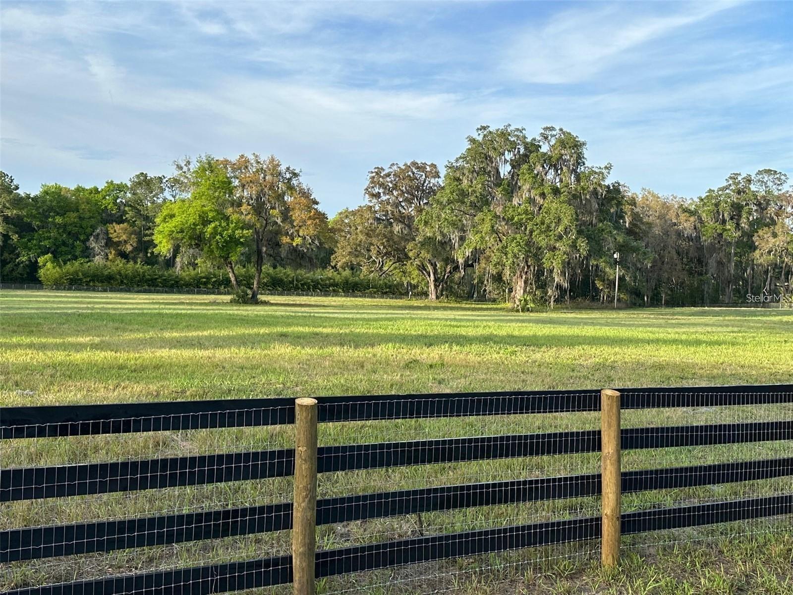 5201 W HIGHWAY 329, REDDICK, FL — photo 3