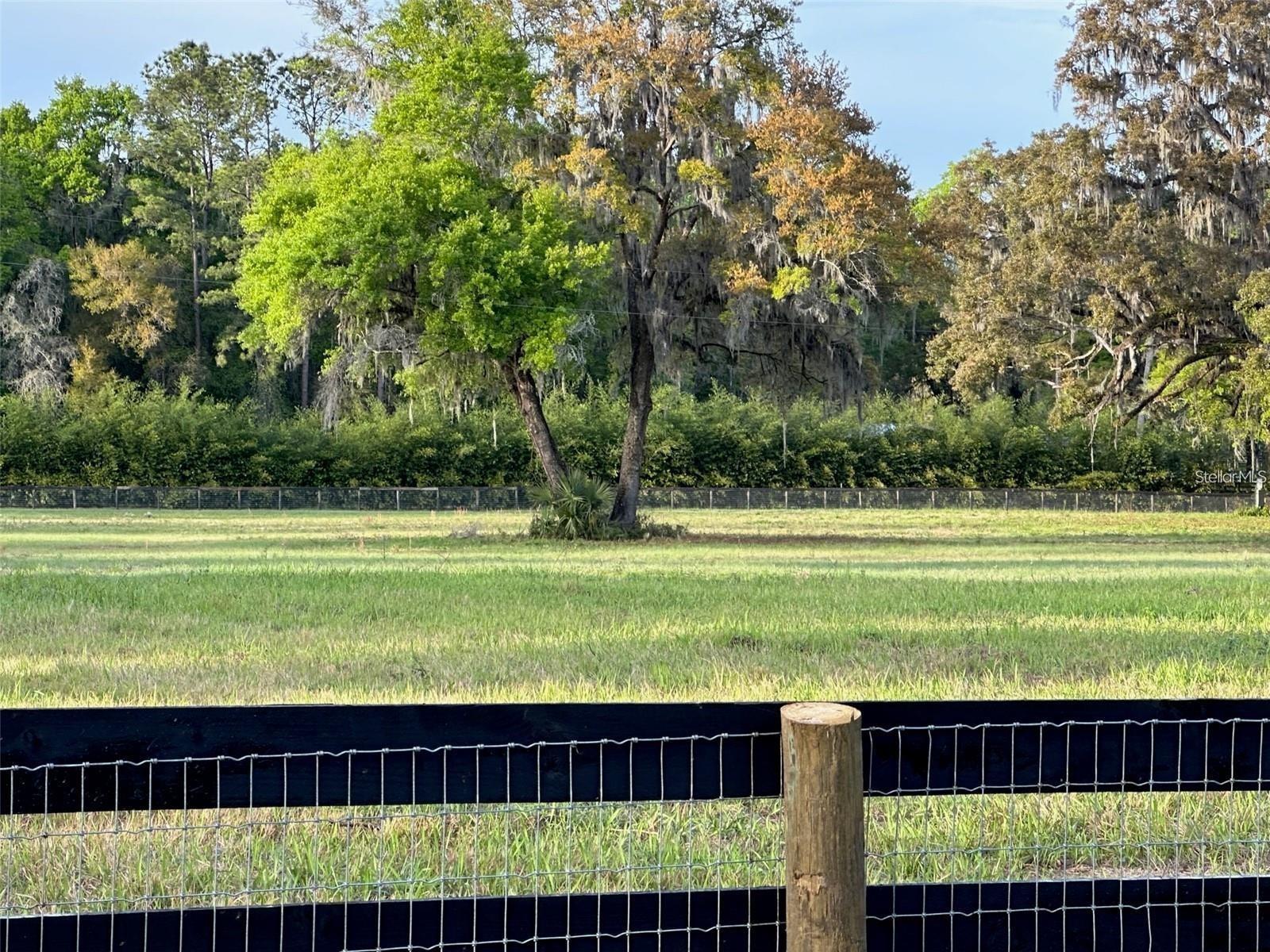 5201 W HIGHWAY 329, REDDICK, FL — photo 4