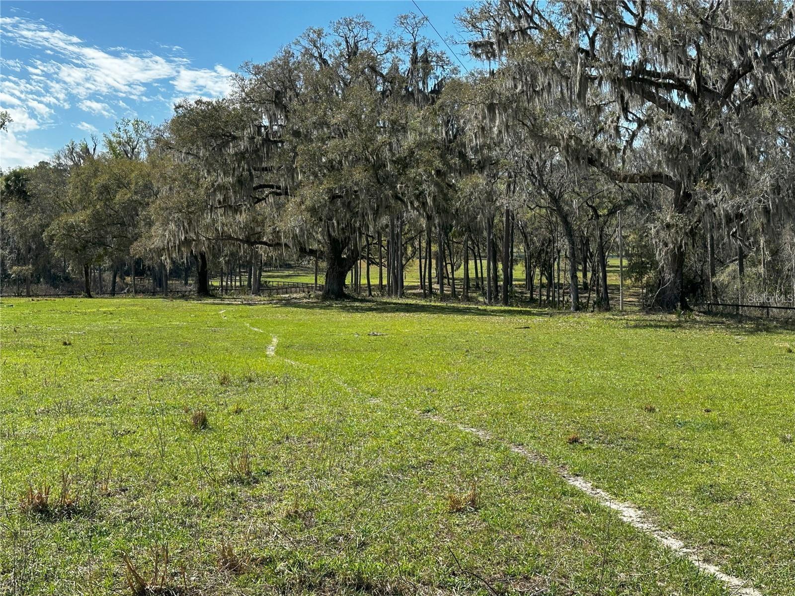 5201 W HIGHWAY 329, REDDICK, FL — photo 6