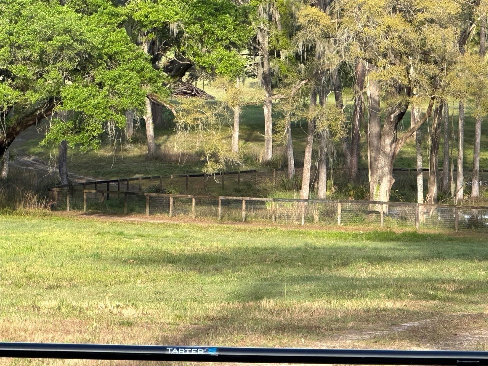 5201 W HIGHWAY 329, REDDICK, FL — photo 7
