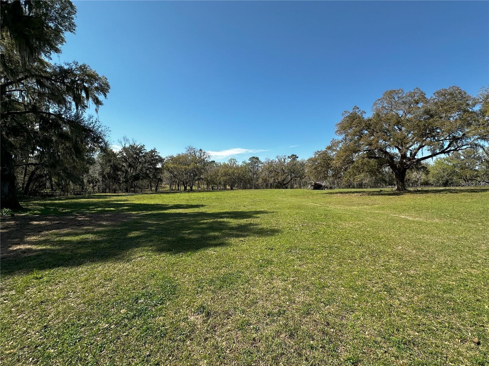 5201 W HIGHWAY 329, REDDICK, FL — photo 9