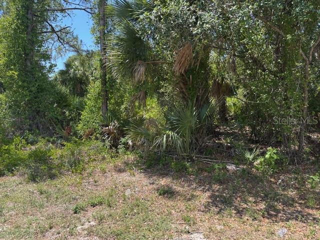 18423 FREMONT AVE, PORT CHARLOTTE, FL — photo 4