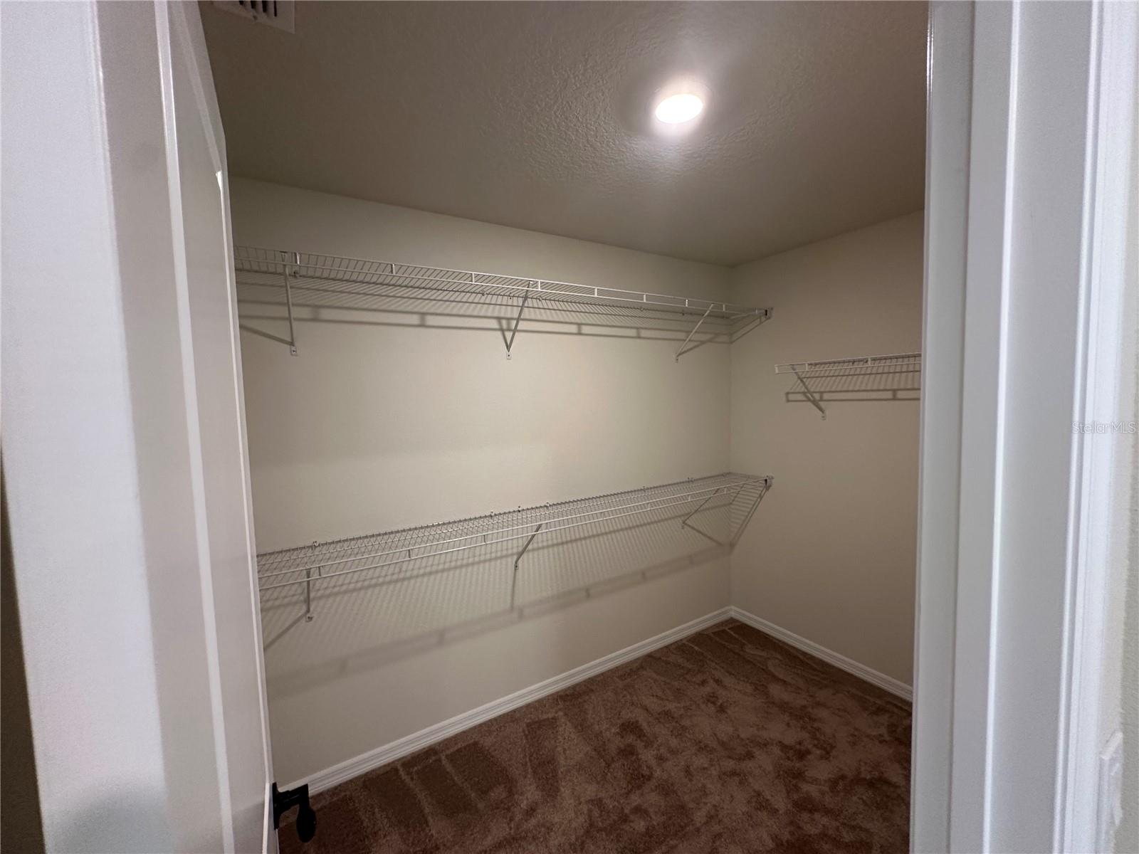 10355 PARKVIEW RESERVE LN, ORLANDO, FL — photo 52