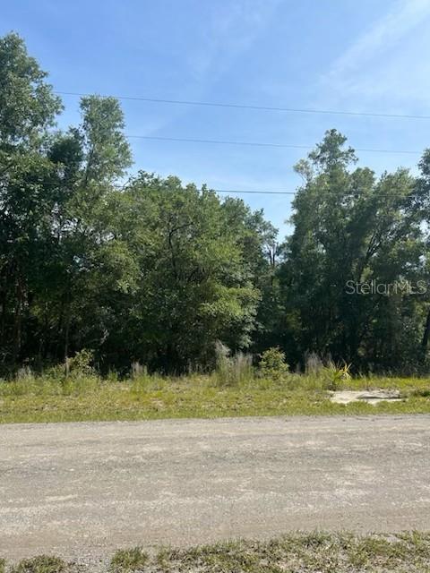 8284 W CATRINA LN, CRYSTAL RIVER, FL