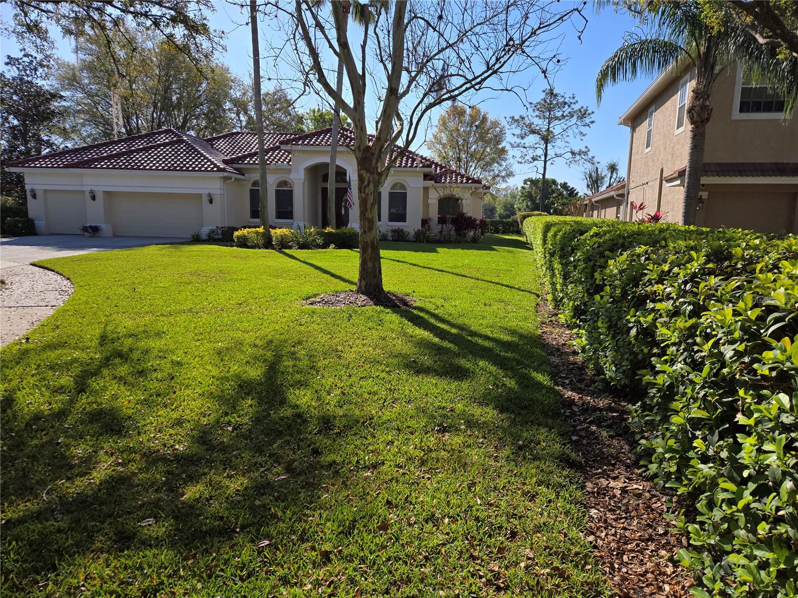 9127 WOODRIDGE RUN DR, TAMPA, FL — photo 3