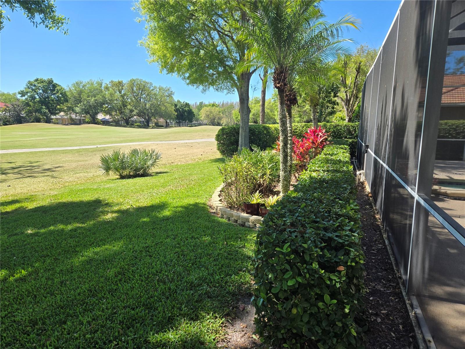 9127 WOODRIDGE RUN DR, TAMPA, FL — photo 69