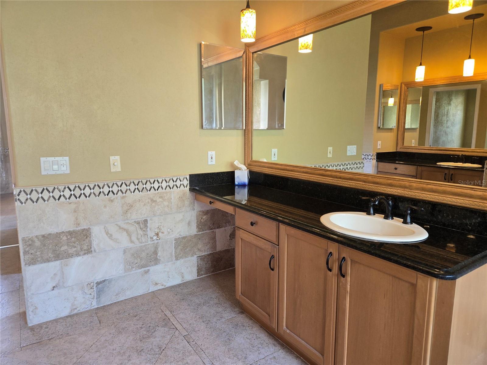 9127 WOODRIDGE RUN DR, TAMPA, FL — photo 52