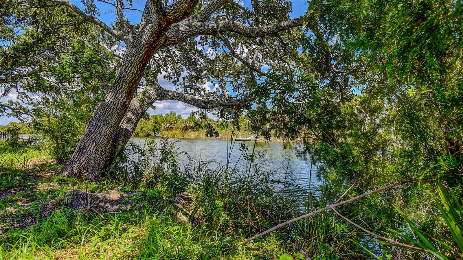 0 SEA GRAPE DRIVE #Lot 10, HERNANDO BEACH, FL — photo 6