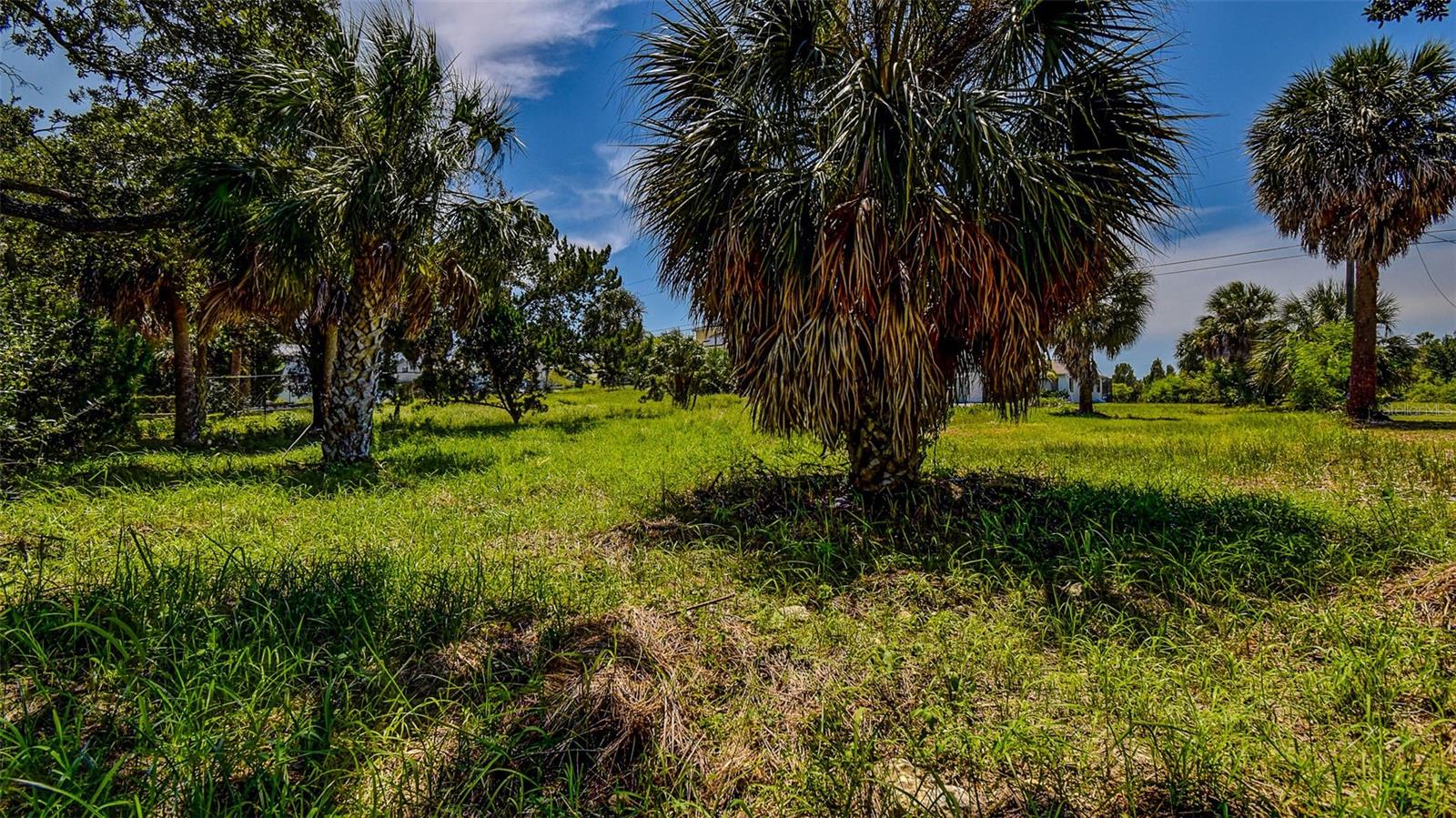 0 SEA GRAPE DRIVE #Lot 10, HERNANDO BEACH, FL — photo 8