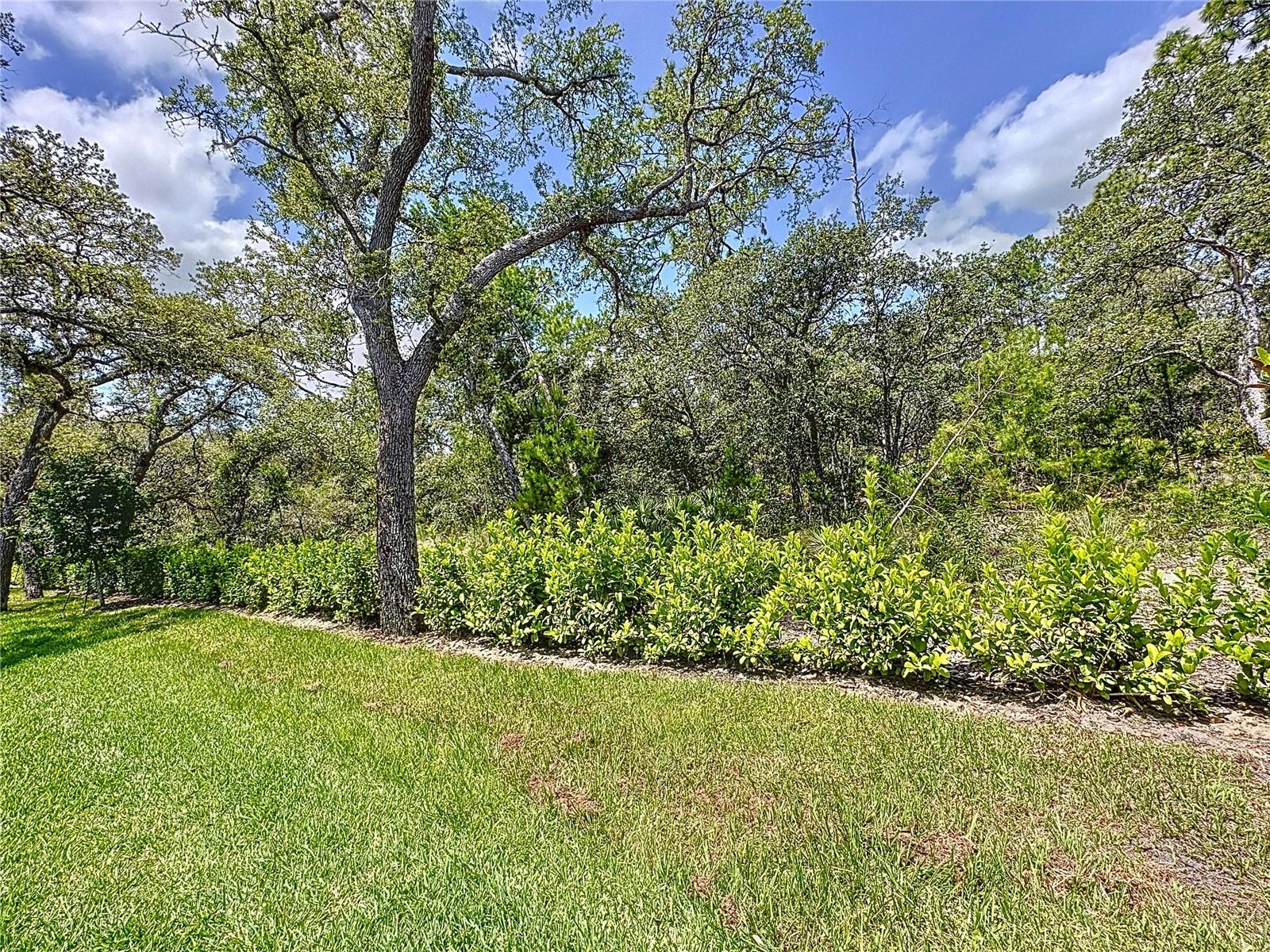 1425 SERENDIPITY LN, CLERMONT, FL — photo 147